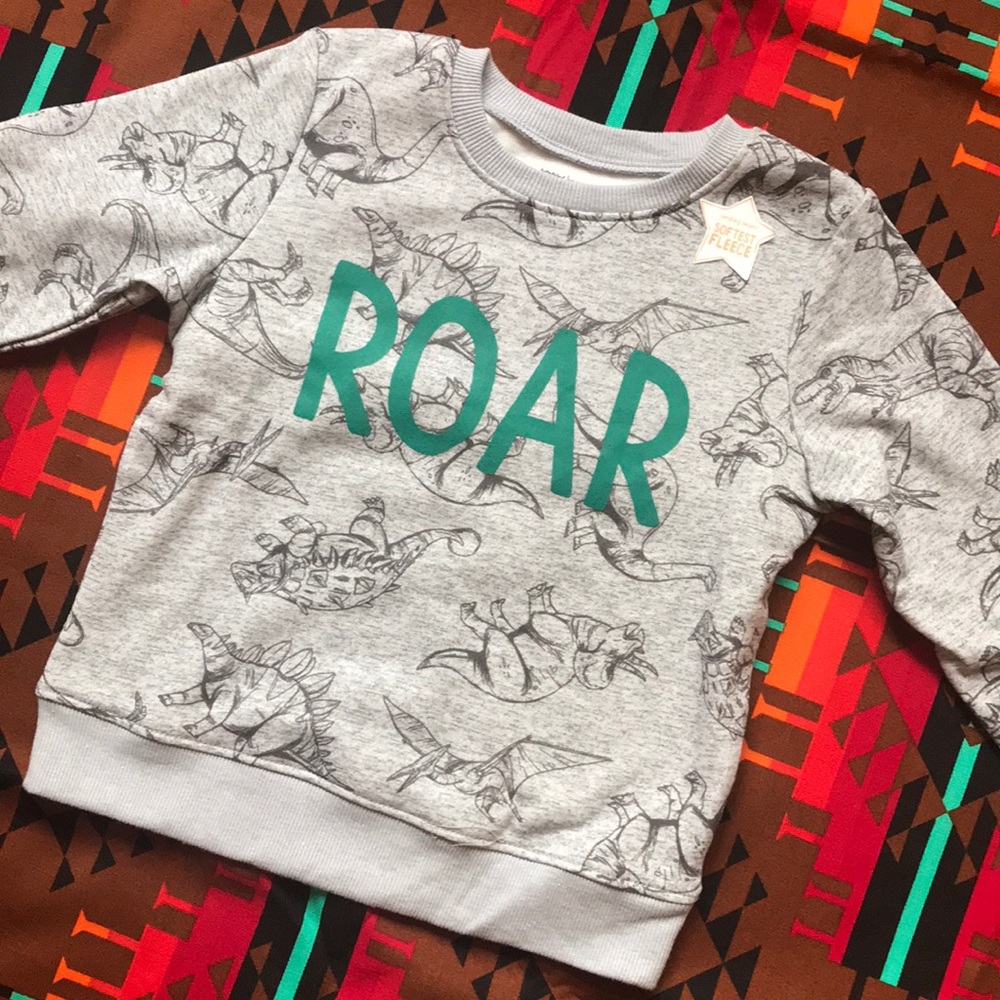Dino ROAR sweatshirt